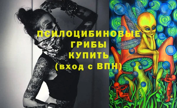 первитин Балахна
